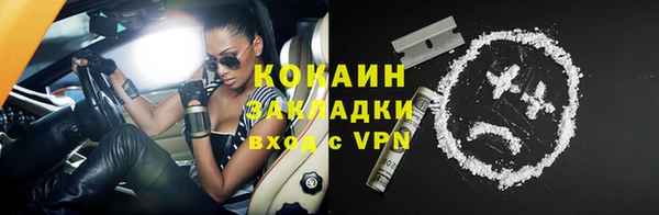 ECSTASY Бородино