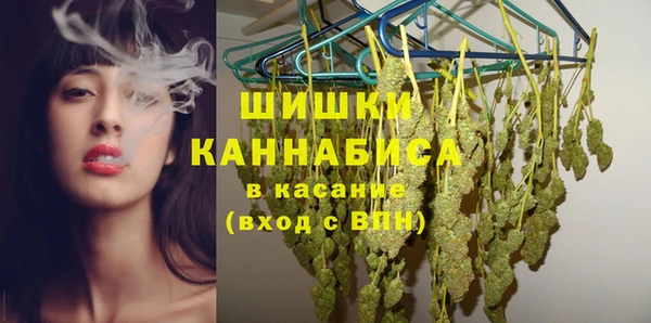 прущие грибы Протвино